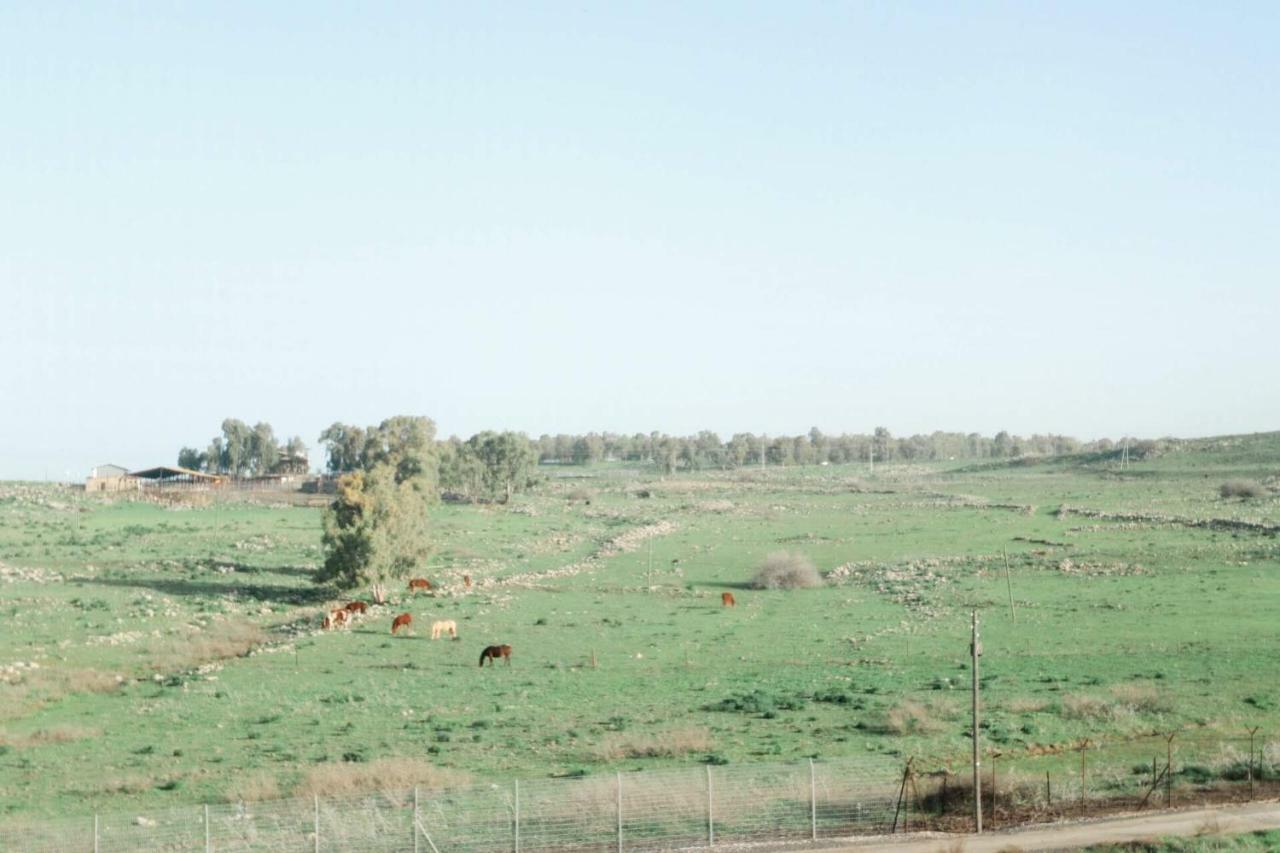 הוילה קדמת צבי מראה חיצוני תמונה